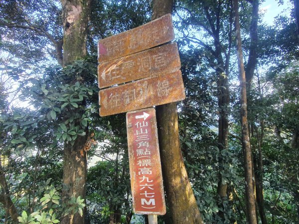 仙山登山步道（小百岳）1272553