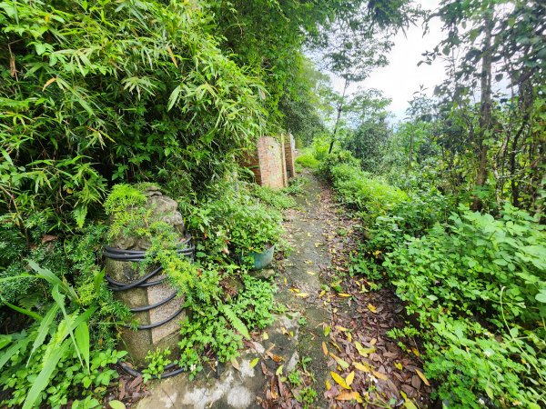 20250427大山背山田寮山毬子山騎龍山2933680