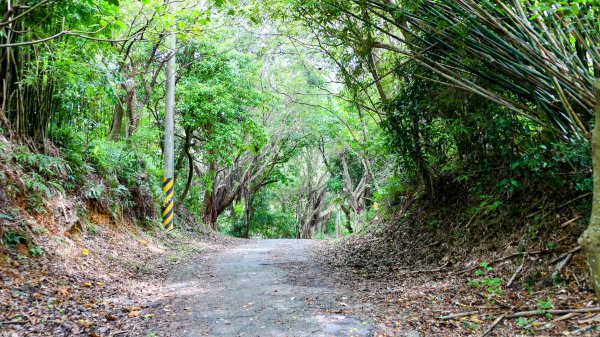 微笑山線405高地段2844149