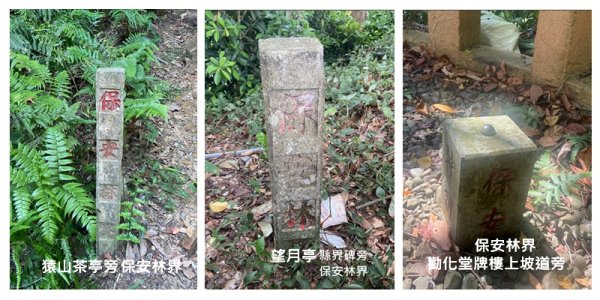 獅山五連峰 (猿山、六寮山、獅尾山、獅頭山、玖玖山)2871321