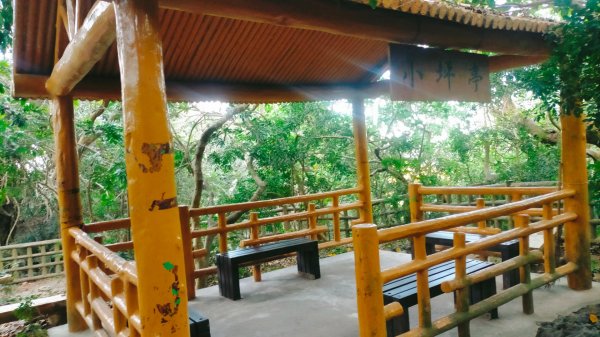 柴山夜爬看夕陽2993420