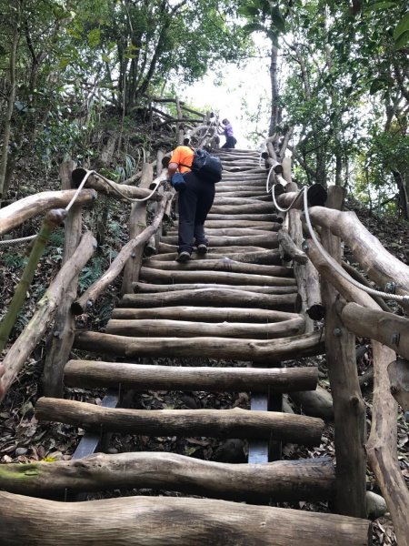 頭嵙山攻頂577442