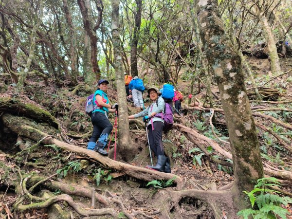 1130511夫拉縱走2500150