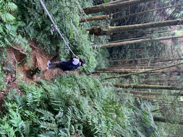 獅仔頭山/小百岳1453966