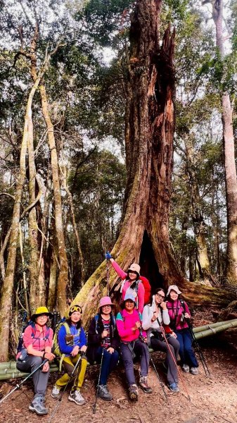 🌈1/18（日）忘憂森林×金柑樹山×溪頭天文台✨FB：熊熊趴爬走🌈2983965