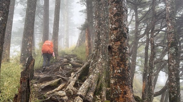 南一段 2025 / 04/02~04/062764400