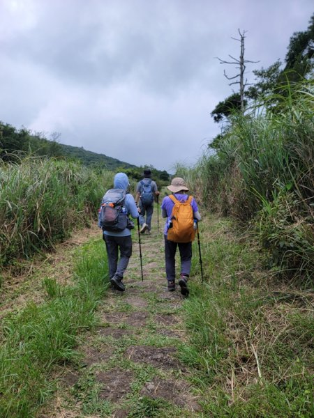 頂湖-頂湖山-小屯山-大屯山南峰-大屯坪-二子坪-202408112601427