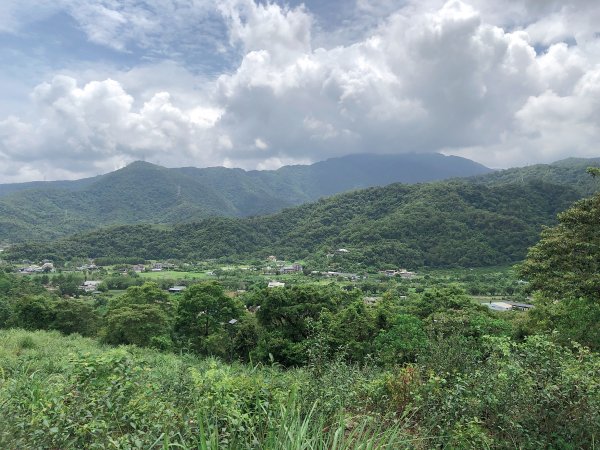 ~  中 山 茶 園 步 道  ~2580969