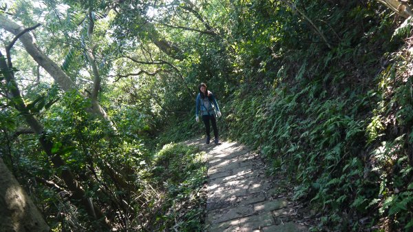 觀音山登山健行趣(小百岳05號)1632433