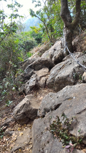 [台南.南化]龍麟山步道--登王爺崙山.賞龍麟奇岩92246