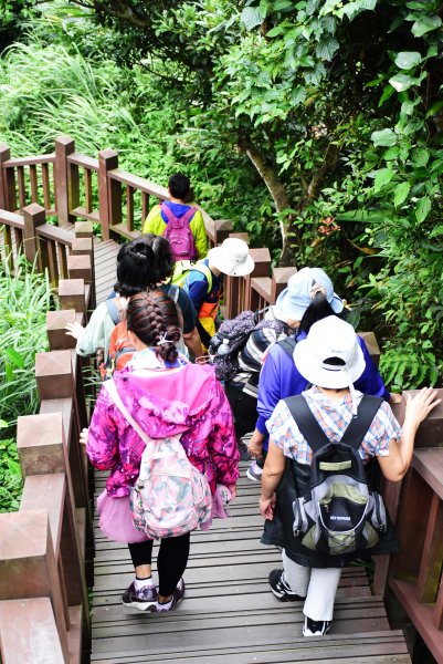 20190504鼻頭角步道  582836