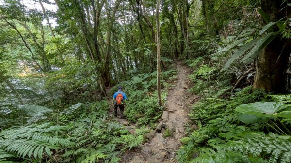 114.06.14雙石縱走&石門水庫-石牛山之旅2812243