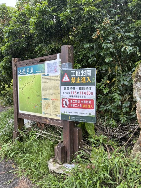 20260802梅嶺;獵鷹尖+梅峰3094689