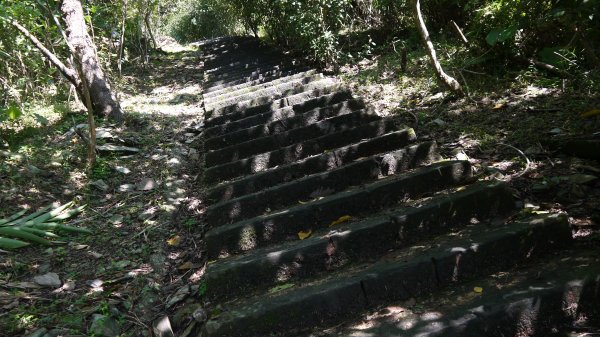 七星嶺步道登山健行趣(郊山)1640108