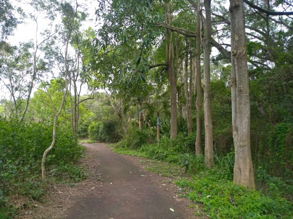 鹿廚坑健行步道－迷鹿亂走1610725