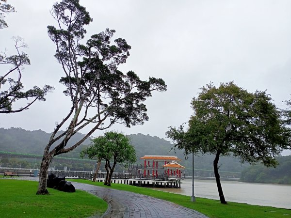 大湖公園 (防災公園)【走路趣尋寶，全臺齊步走】1895283