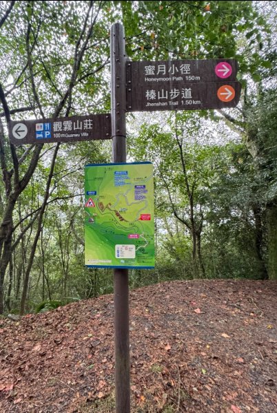 觀霧瀑布 賞鳥步道2926791