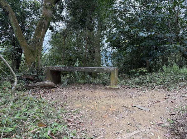 [微笑山線_第四段] 2026_0321 天上山系_十八羅漢岩3022116