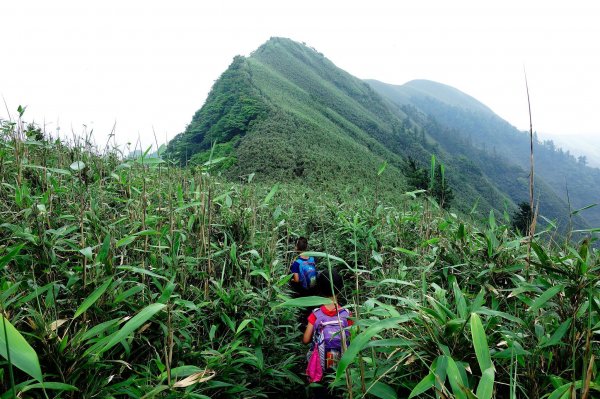 小觀音山主峰下竿尾崙封面