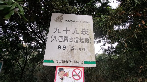 20250218 金柑樹山+忘憂森林2719517