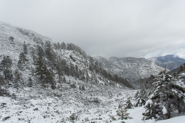 1050115-17 雪主東雪地訓練28466