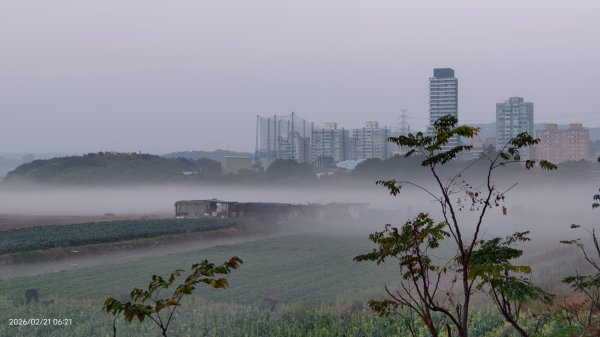#觀音山 #夕陽 #夜景 #林梢步道 #關渡平原 #輻射霧  2/213003235