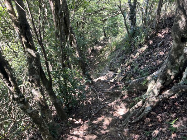 [微笑山線_第九段] 2025_0914 二格山系_皇帝殿東峰2889520