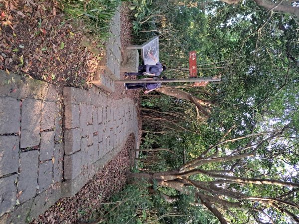 新北硬漢領步道3105913