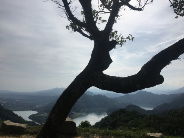 石大佛（石門山、大竹坑、佛陀世界2528055