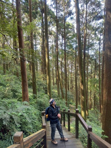 20251029石棹茶、霧、雲、霞、櫻、愛之道 樂野山 霹靂山2926622