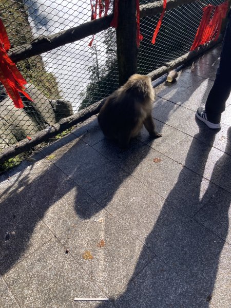 四川峨眉山 (2-1)2940232