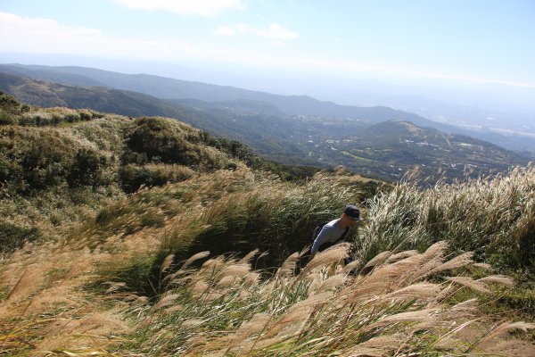 芒芒的七星山758946