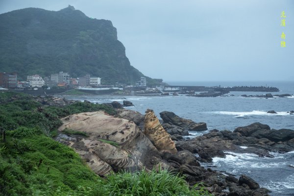 暖東峽谷/草嶺舊隧道2816521