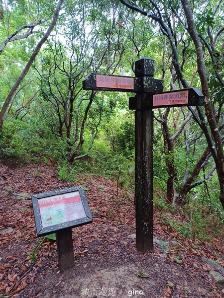 【台中霧峰】低海拔生態林相悠美。 奧山步道、桐林花廊步道、樟樹林步道、北坑溪步道O繞2570492