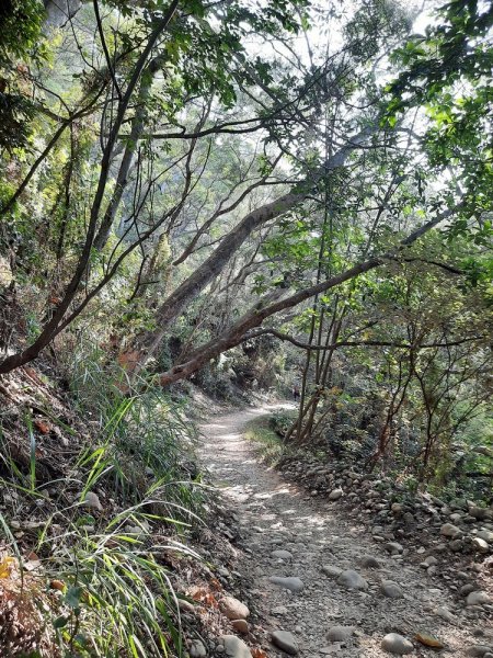 《彰化》田中森林登山步道O型202011221179697