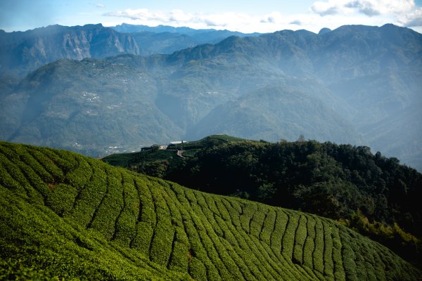 雲嘉七連峰 2025年12月2968921