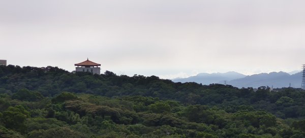 2025/08/17_三和晨光+石崎+背西步道O型2861580