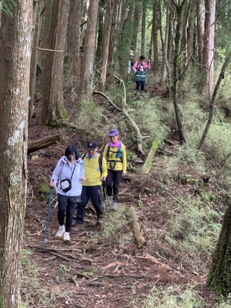 20250517義義兒玉山-東水山2791657