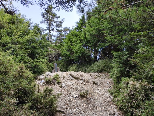 北一段(13/14)審馬陣山 2025_0906~132887550