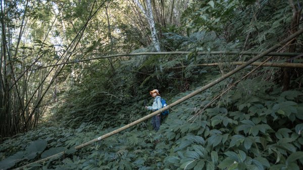 枕頭山古砲台歷史古道O型（含薑母島）2948555