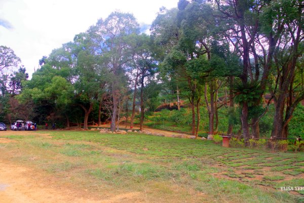 馬那邦山菜市場封面