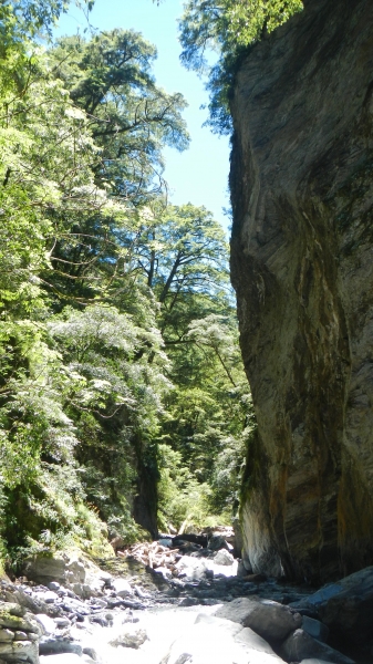 【山岳之美】102.07.21-27北一段逆走4982