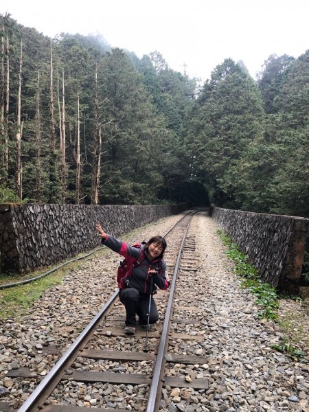 傳說中的眠月線舊鐵道浪漫且復古哦805347