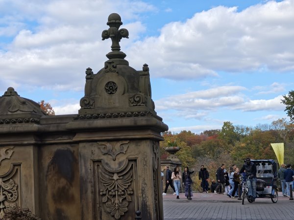 [紐約馬之行-11] 2025_1101 中央公園-畢士大露臺2945070