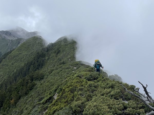 【百岳】雪山肥虎 2 之雪山主北聖稜段＋東峰2671633