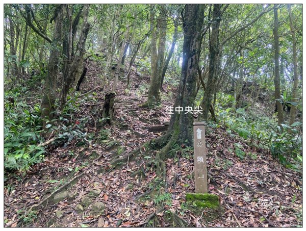 平溪中央尖、慈恩嶺、東勢格步道 O型一圈3072479