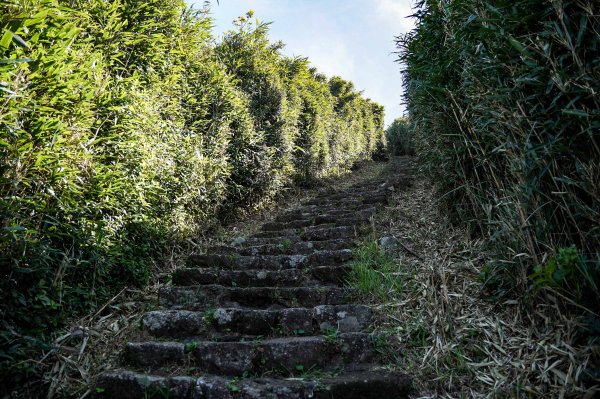 大屯山連峰步道｜陽明山小百岳2856257