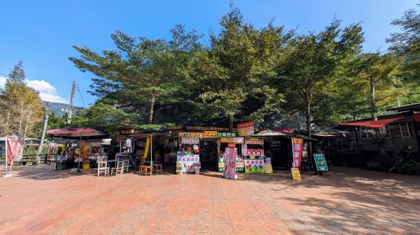望龍埤,鎮頭山,蜊埤湖2391864