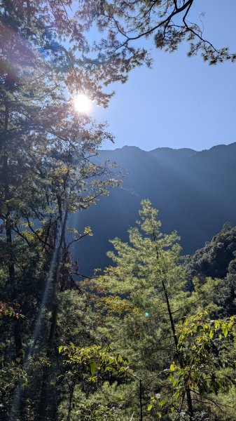 八仙山主峰步道3021275