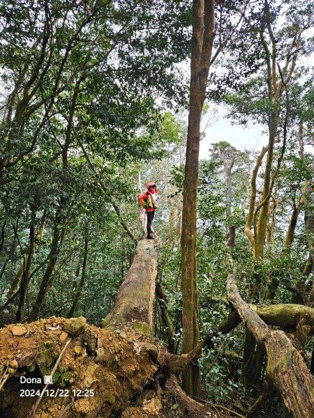 【苗栗郊山聖稜線】仙神象18連峰大縱走2675885